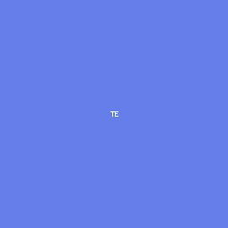 teodoravadani