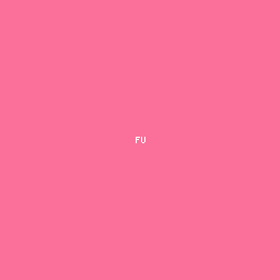 fundlus